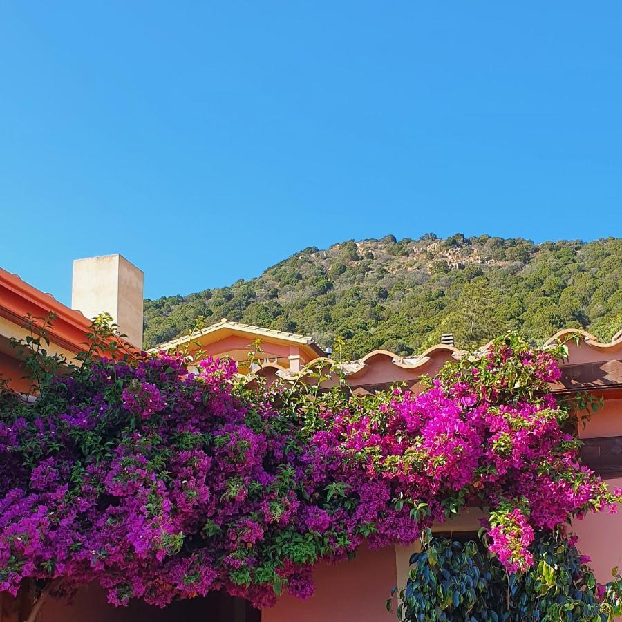 B&B La Vela Chia Exteriér fotografie