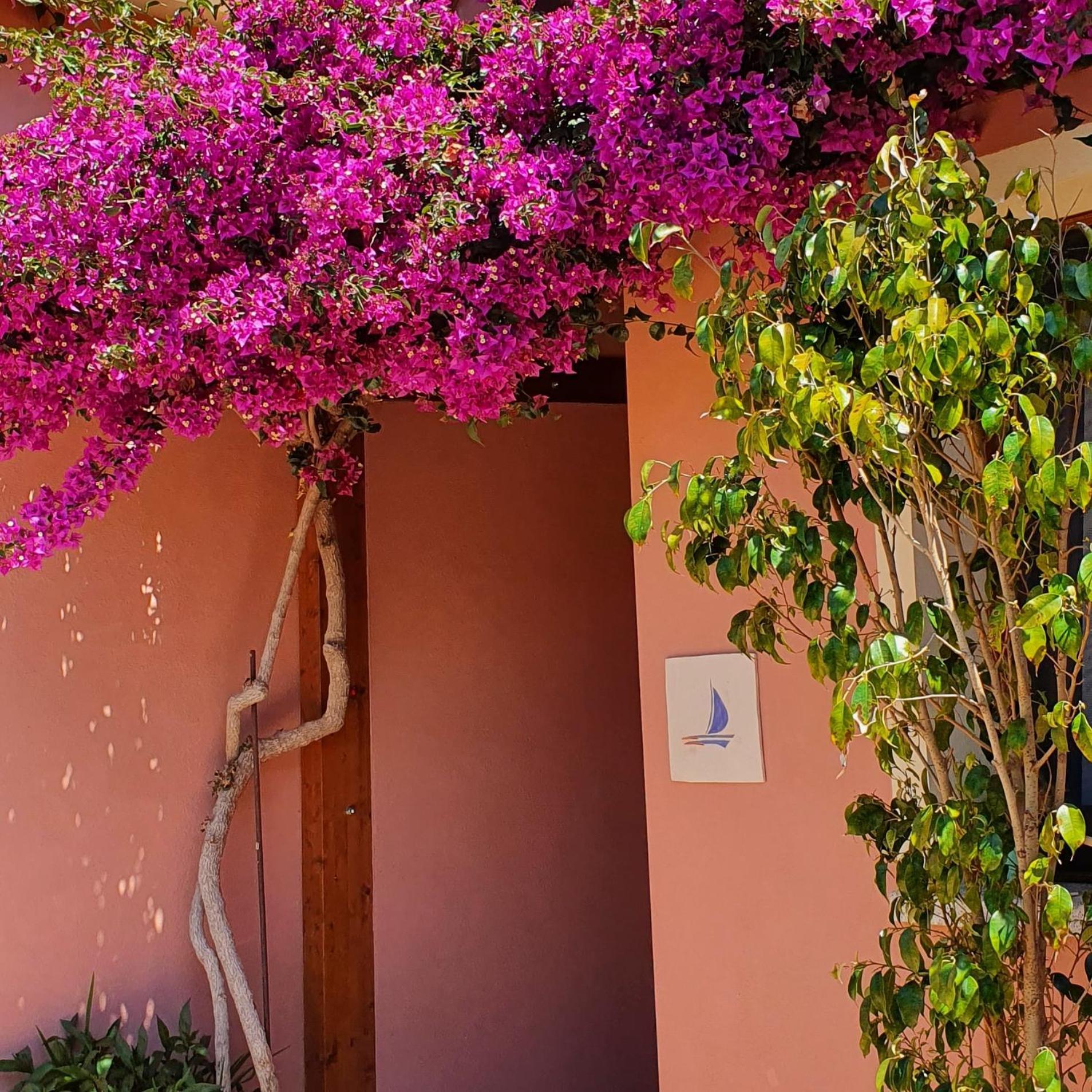 B&B La Vela Chia Exteriér fotografie